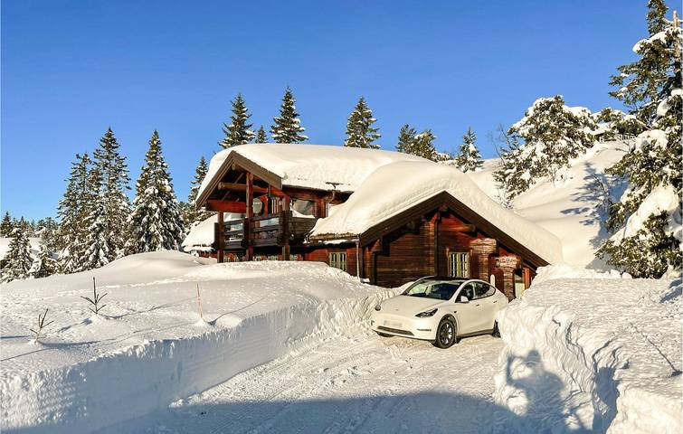 Ferienhaus für 8 Personen mit Garten in Nissedal