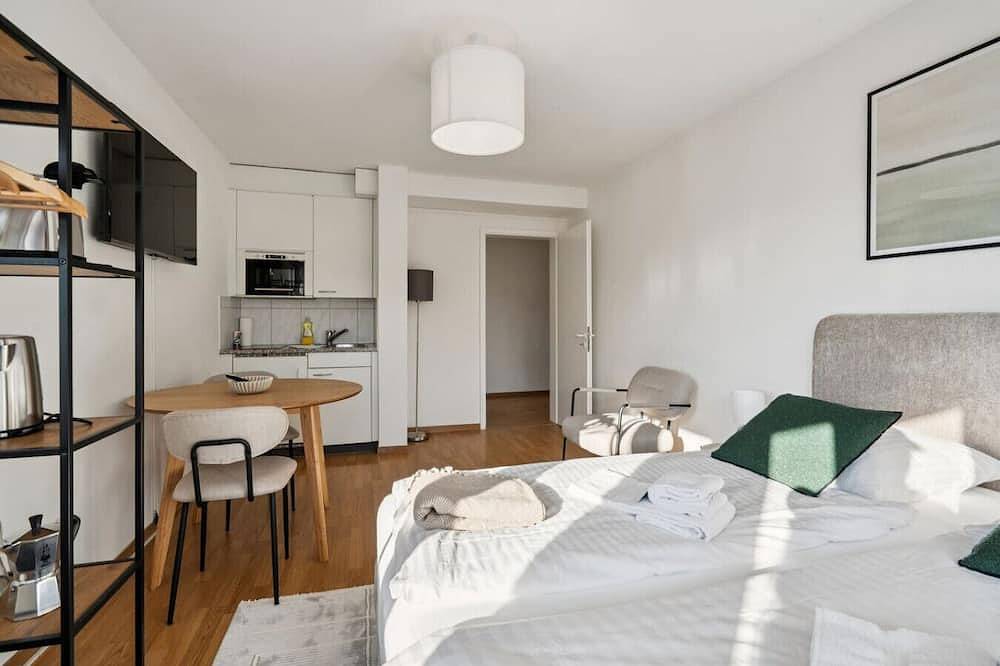 Ganze Wohnung, City studio in Zürich, Bezirk Zürich