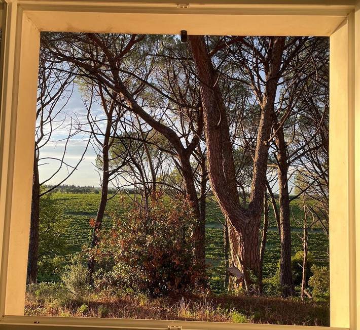 Location de vacances pour 4 personnes, avec jardin et vue à Montfrin - 4