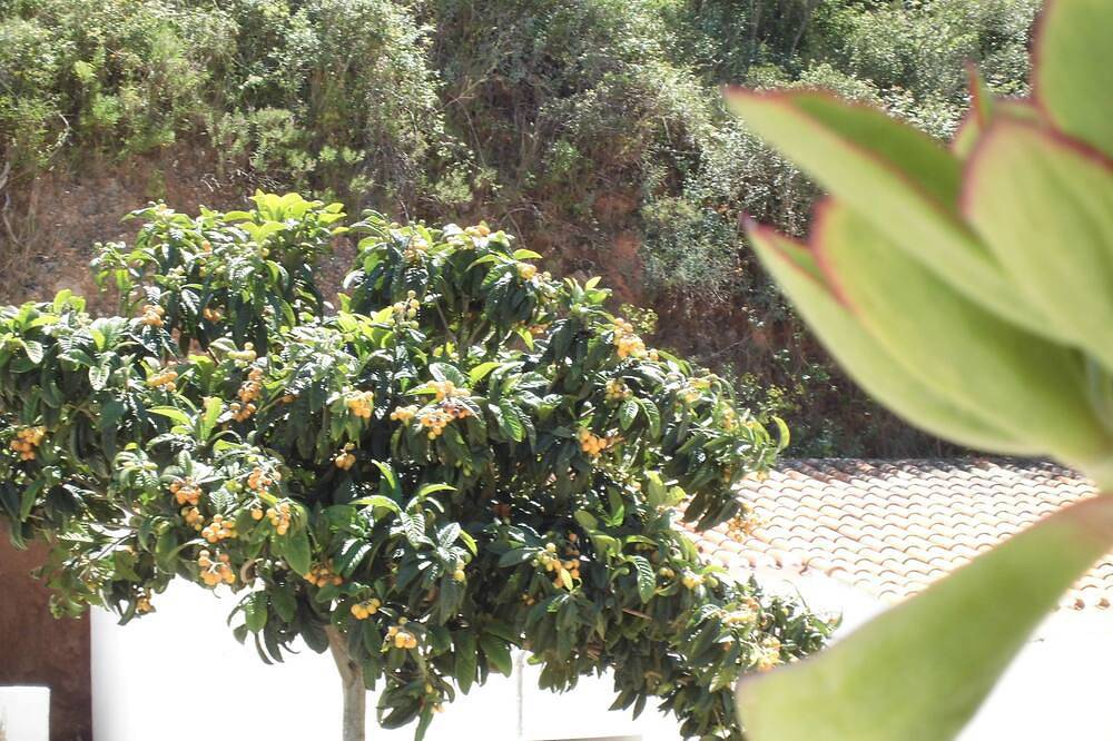 Ganze Wohnung, Ferienhaus / Ferienwohnung in Bordeira, Naturpark Südwest-Alentejo und Costa Vicentina