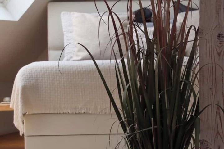 Ferienwohnung für 2 Personen, mit Whirlpool und Garten in Essen - 4