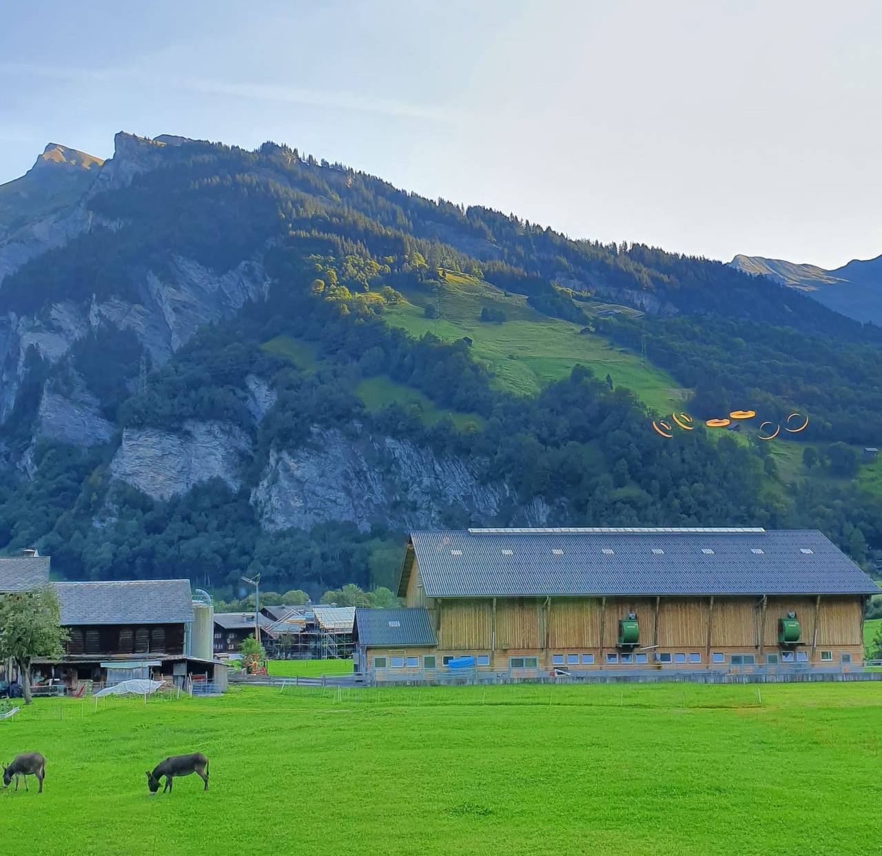 Appartement de vacances entier, Ferienwohnung Wiese 31 - Ferienwohnung Wiese 31 in Elm (Glaris), Glaris Sud