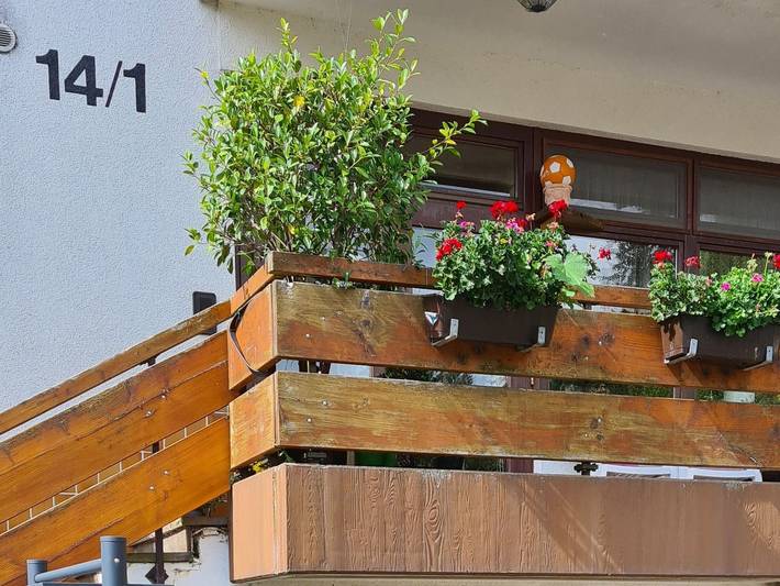 Ferienwohnung für 3 Personen, mit Balkon in Herrischried - 3
