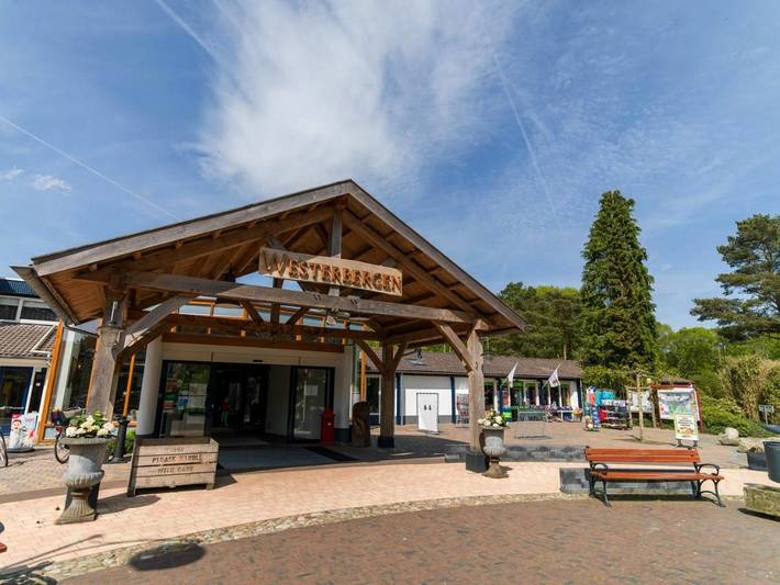 Vakantiehuis voor 4 personen, with Terras and Tuin as well as Kinderzwembad and Zwembad in Echten
