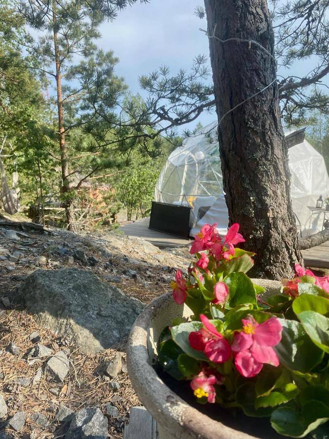 Finndome in Satakunta
