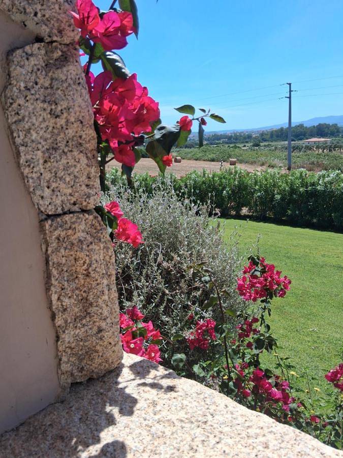 B&B Majore in Santa Lucia (Olbia), Olbia