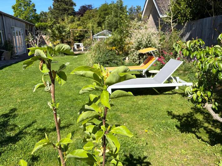Ferienhaus für 2 Personen, mit Terrasse und Garten sowie Ausblick in Bergen (Nordholland) - 4