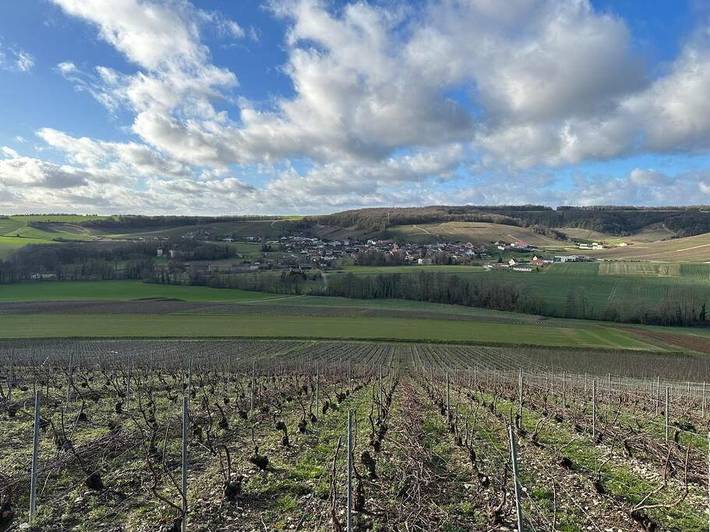 Gîte pour 4 personnes, avec terrasse à Arrentières - 2
