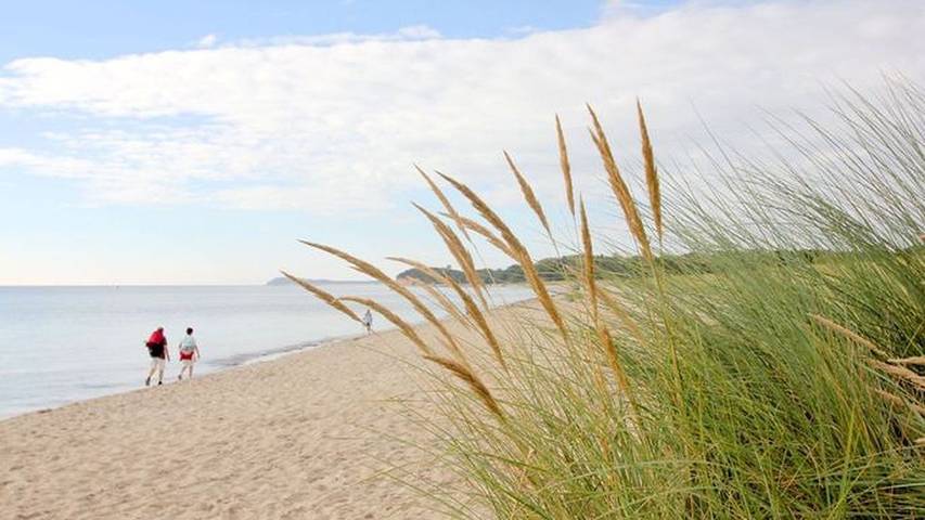 Ferienhaus für 6 Personen, mit Sauna und Garten in Gager - 2