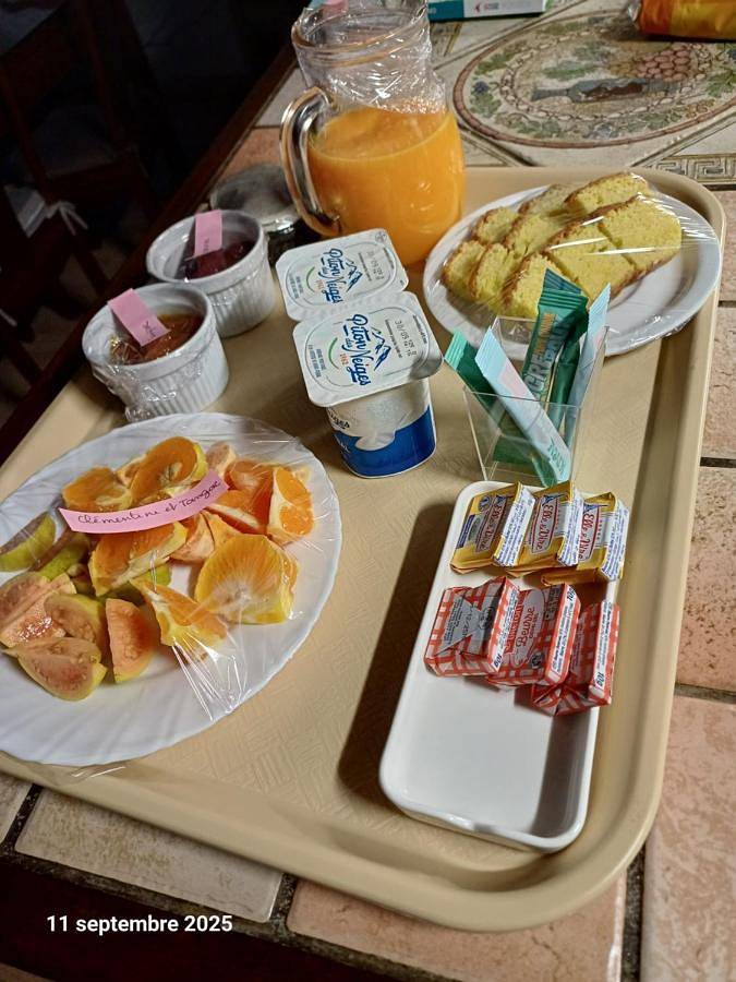 Maison d’hôte pour 6 personnes, avec terrasse ainsi que vue et jardin à Salazie - 4