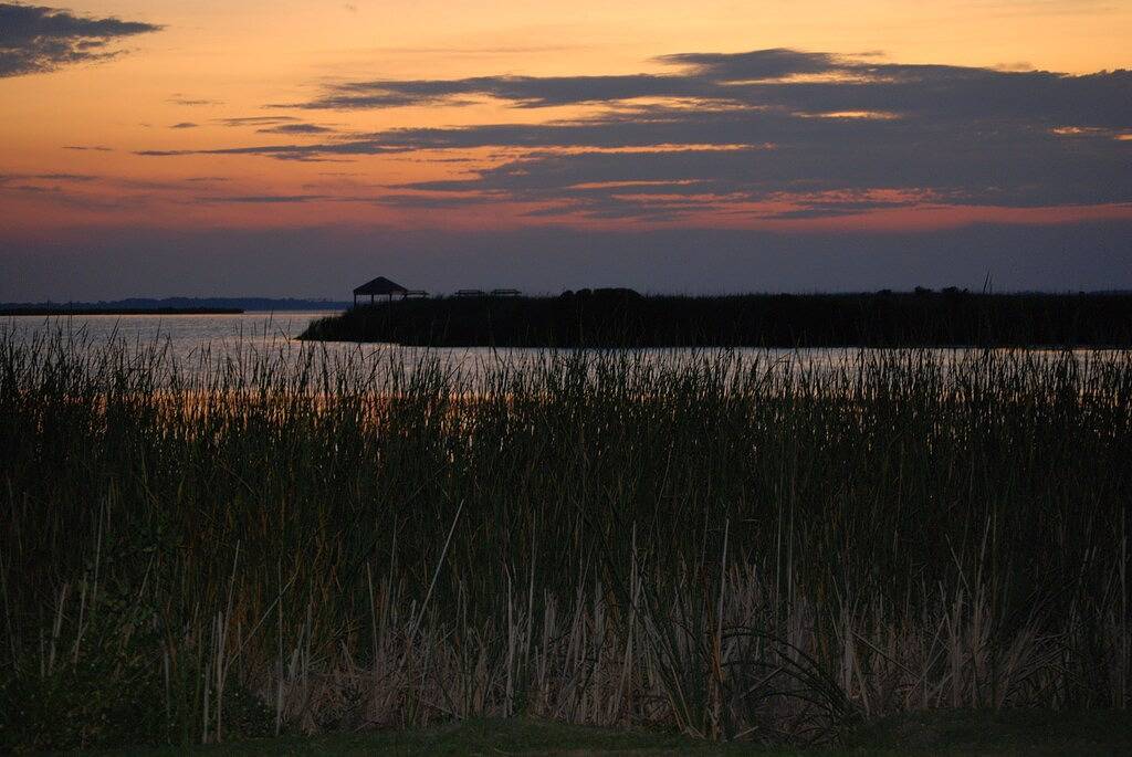 Ganze Wohnung, Schöne Oceanside Property W / Pool in Great Beach Location! in Corolla, Currituck County