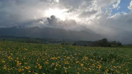 Ferienwohnung für 2 Personen in Fischen, Schwaben, Bild 4