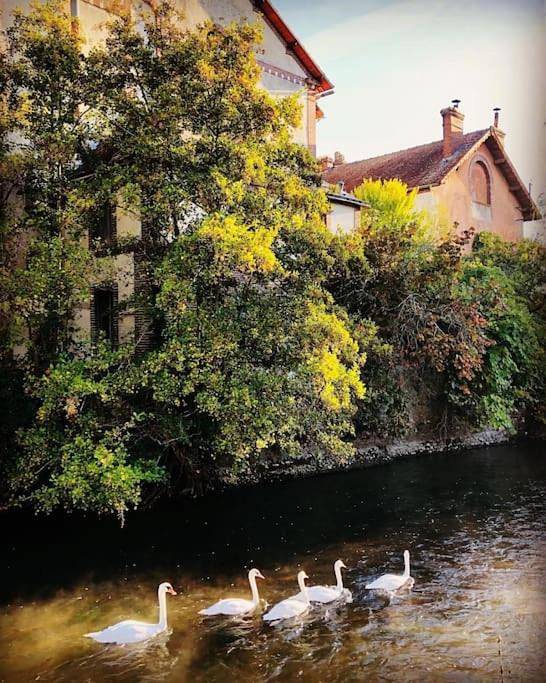 Gîte pour 4 personnes, avec vue et jardin, animaux acceptés dans Chaudon - 3