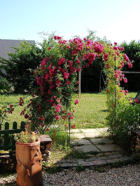 Chambre d’hôte pour 2 personnes, avec jardin dans le Cher - 4