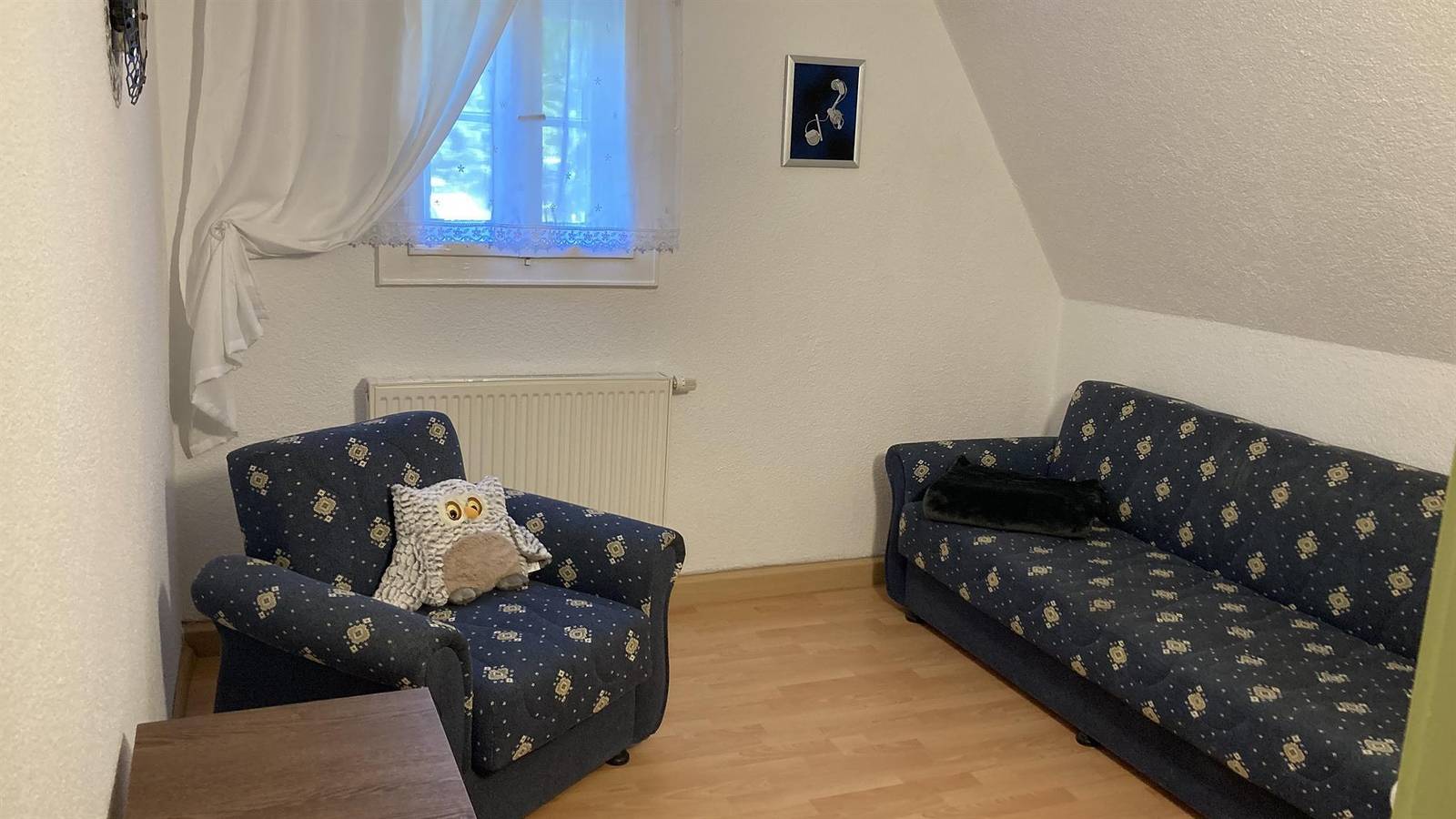 Ganze Ferienwohnung, Appartement/Fewo, Dusche und Bad, Wc, gartenseitig in Schellerhau, Altenberg