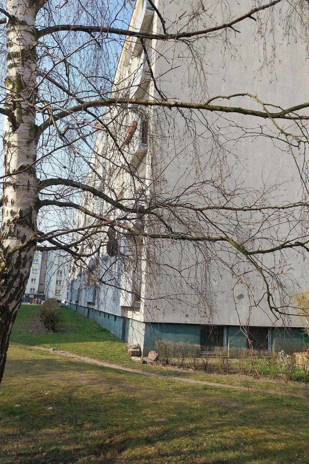 Cały apartament, Studio Orla Chata in Świnoujście, Zalew Szczeciński