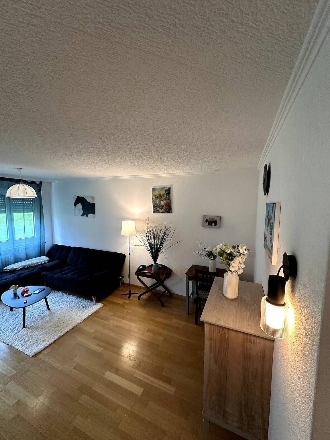 Ganze Wohnung, Ein möbliertes Zimmer in unserer gemütlichen Wohnung in Baden (Aargau-Basel), Aargau-Basel
