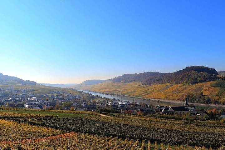 Ferienwohnung für 3 Personen, mit Garten in Nittel - 4