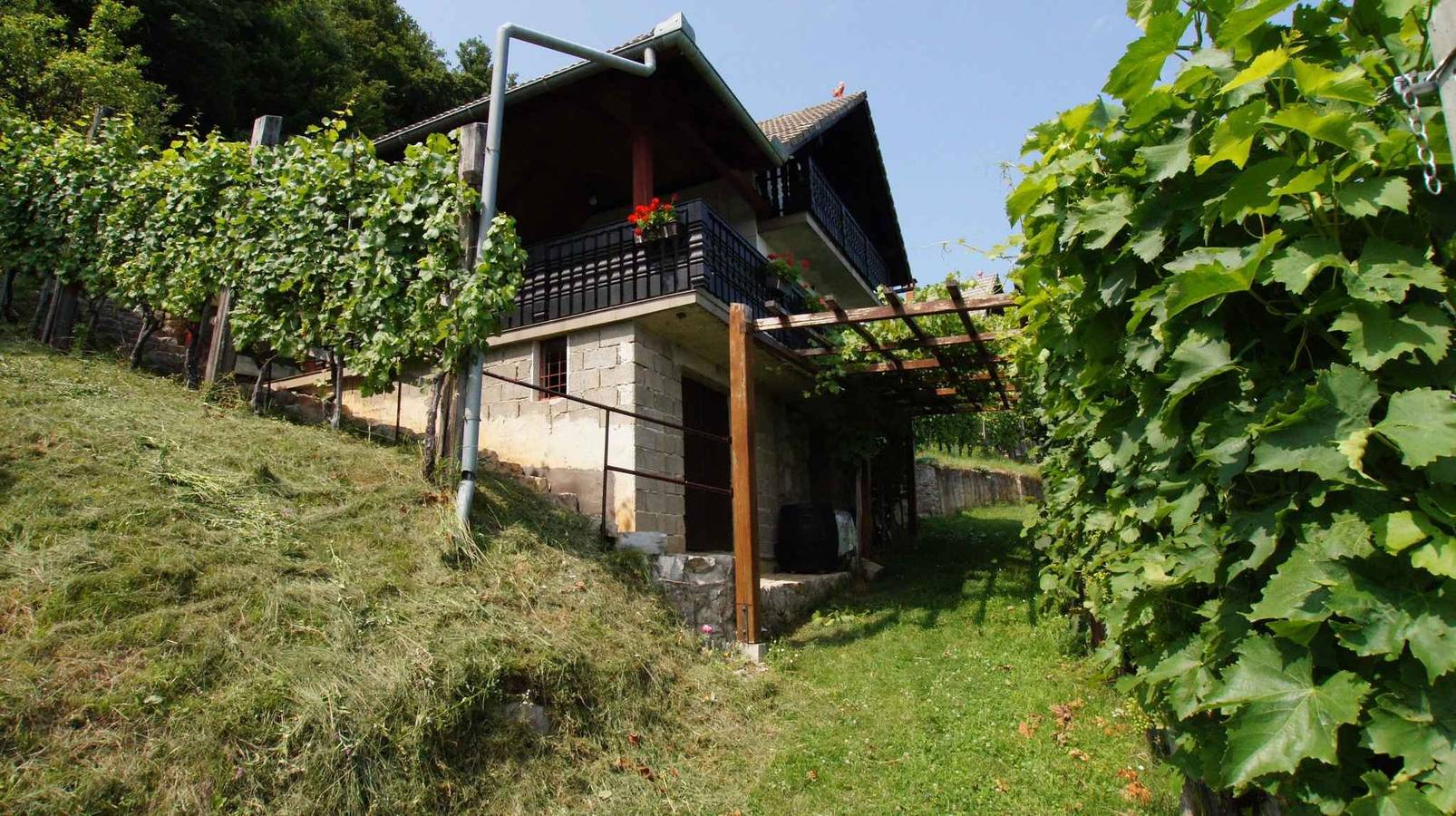 Ferienhaus mit Blakon und Garten in Slowenien