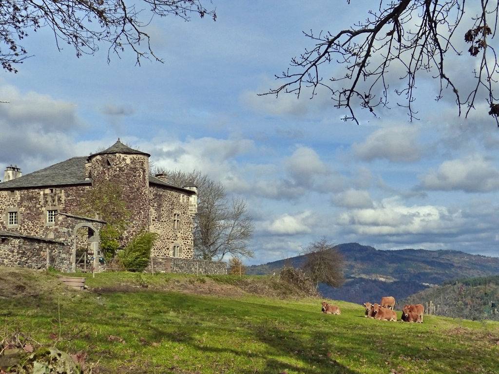 Maison Forte de Chabanolles - Chambre Axelle in Retournac, Massif central