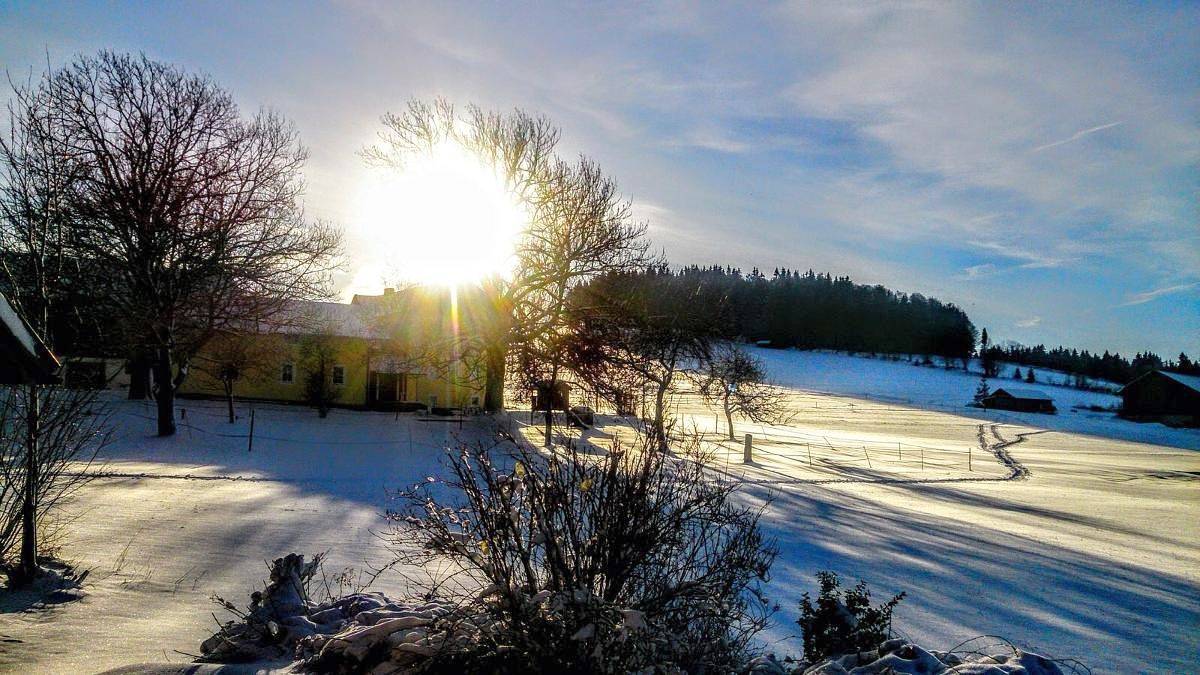 Ganze Wohnung, Ferienwohnungen Anna Geißinger - Fewo Lusen (80qm) mit Balkon für 4 Personen in Mauth, Šumava Mountains