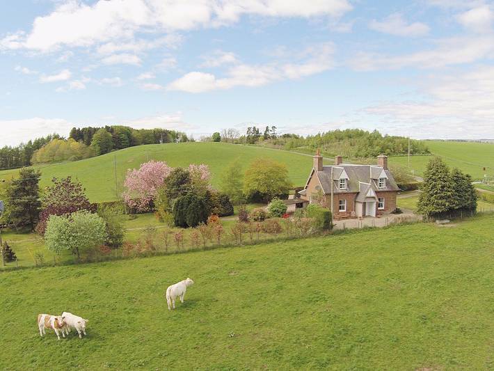 Cottage for 6 people, with garden in Angus