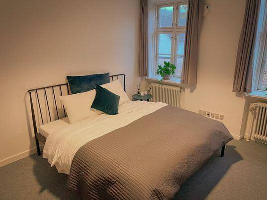 Location de vacances pour 2 personnes, avec terrasse à Roskilde - 2