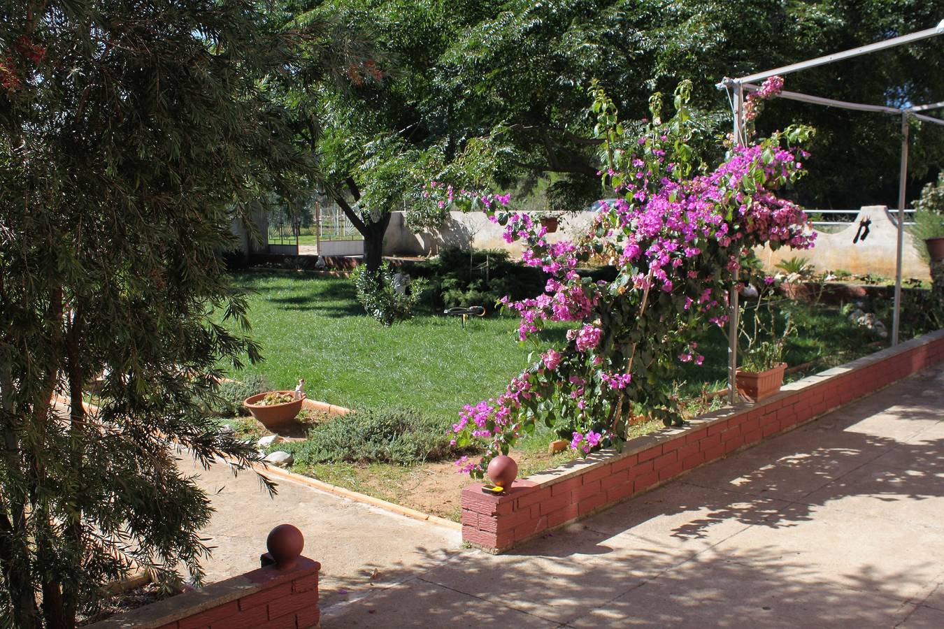 Ganze Wohnung, 3-Zimmer-Ferienwohnung mit Balkon Privlaka, Zadar A-5747-a in Privlaka, Zadar