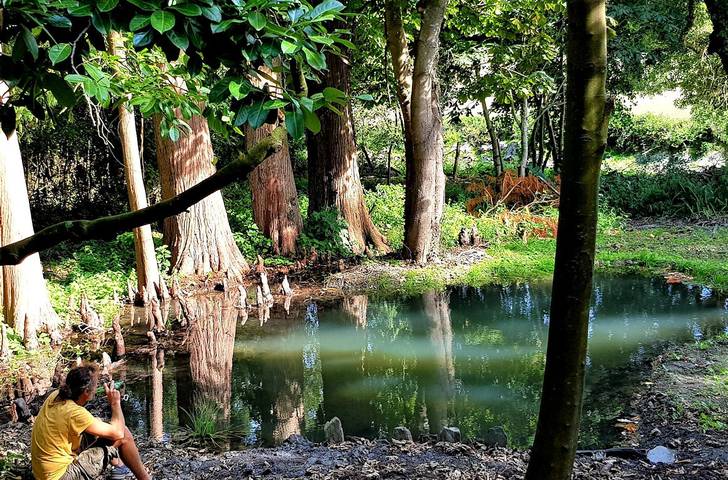 Gîte pour 4 personnes, avec terrasse et jardin, animaux acceptés dans Vallons-de-l'Erdre - 3