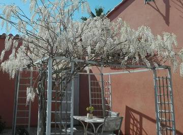 Gîte pour 5 personnes, avec terrasse ainsi que piscine et vue à Saint-Féliu-d'Avall