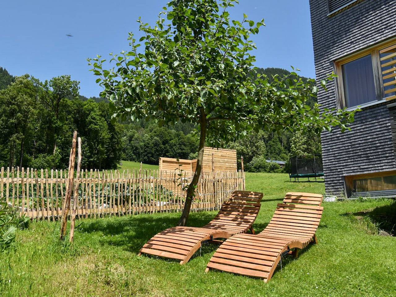 Ganze Ferienwohnung, Appartement Panorama in Diedamskopf, Schoppernau