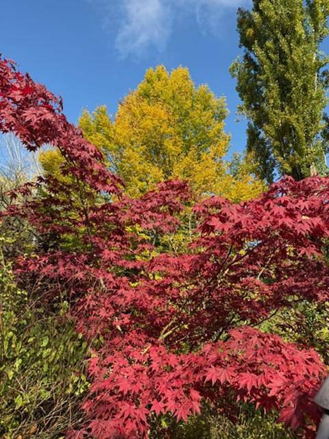 Chambre d’hôte pour 3 personnes, avec jardin et vue dans Verdun - 2