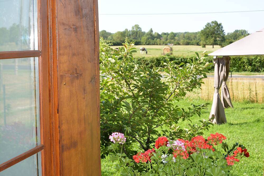 Rest on the farm with our 10 horses in the heart of nature.  Wifi works. in Droyes, Haute-Marne
