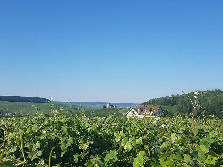 Gîte pour 4 personnes, avec terrasse à Damery - 2