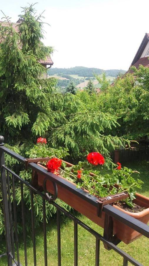 Entire holiday apartment, Villa in Nowa Ruda, Sudeten (Poland)