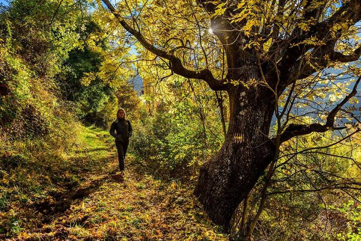 Casa rural para 5 personas en Pallars Sobirà - 3