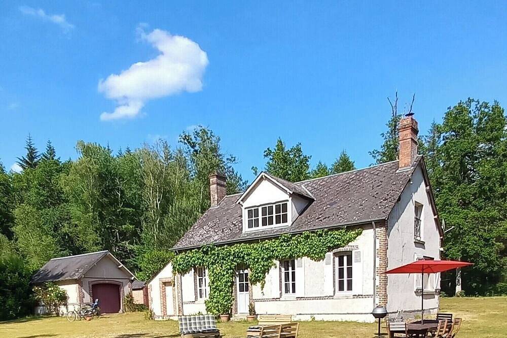 Gîte 10 personnes Sologne, calme pleine nature, 10mns Lamotte Beuvron in Nouan-le-Fuzelier, Sologne