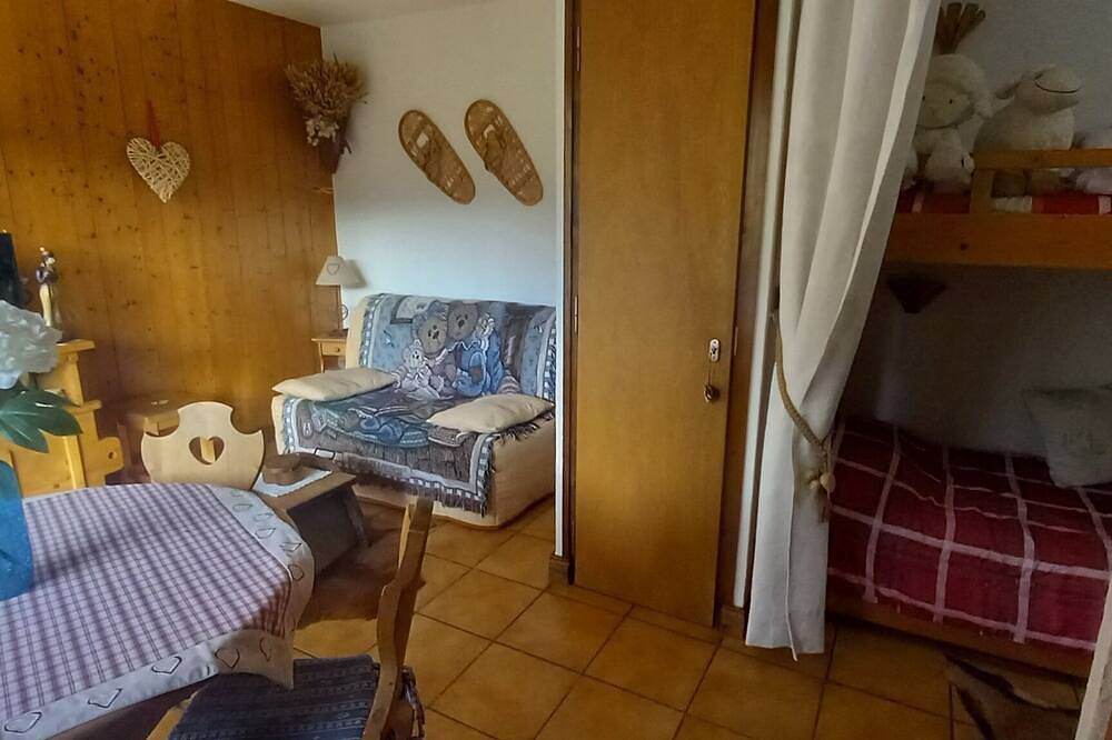 Entire apartment, In Cordon, on the balcony of Mt-Blanc, 21m2 studio for rent, pets welcome. in Cordon, Pays du Mont-Blanc