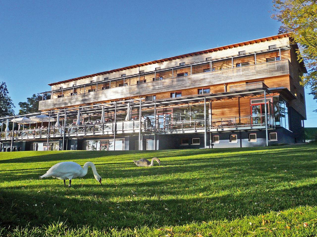 Naturfreundehaus Bodensee - Vierbettzimmer mit Dusche und Wc in Radolfzell am Bodensee, Untersee