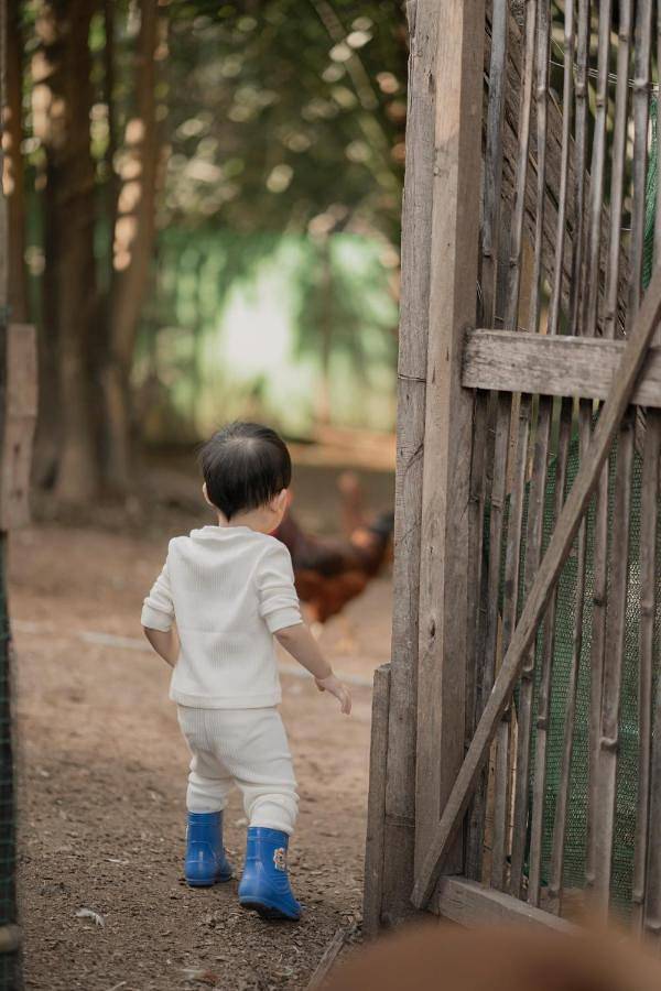 Location de vacances pour 2 personnes, avec vue ainsi que balcon et jardin dans Mae Hong Son - 3