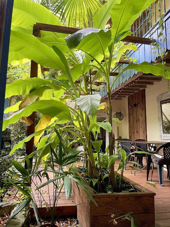 Maison d’hôte pour 10 personnes, avec balcon dans l' Aude - 4