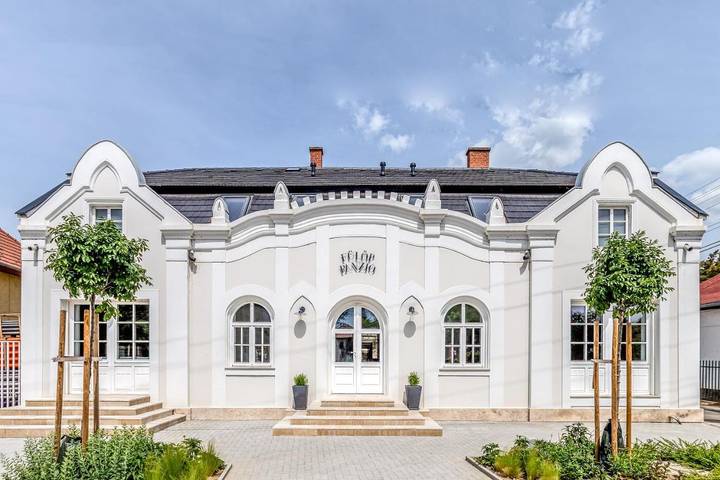 Ferienwohnung für 4 Personen, mit Balkon und Garten sowie Whirlpool und Sauna in Revfülöp