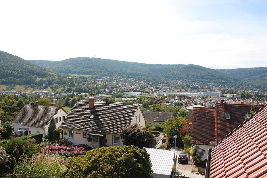 Ferienwohnung "Auf Schäfers Spuren" - Ferienwohnung mit Kaminofen und Balkon in Bürgstadt, Fränkisches Weinland