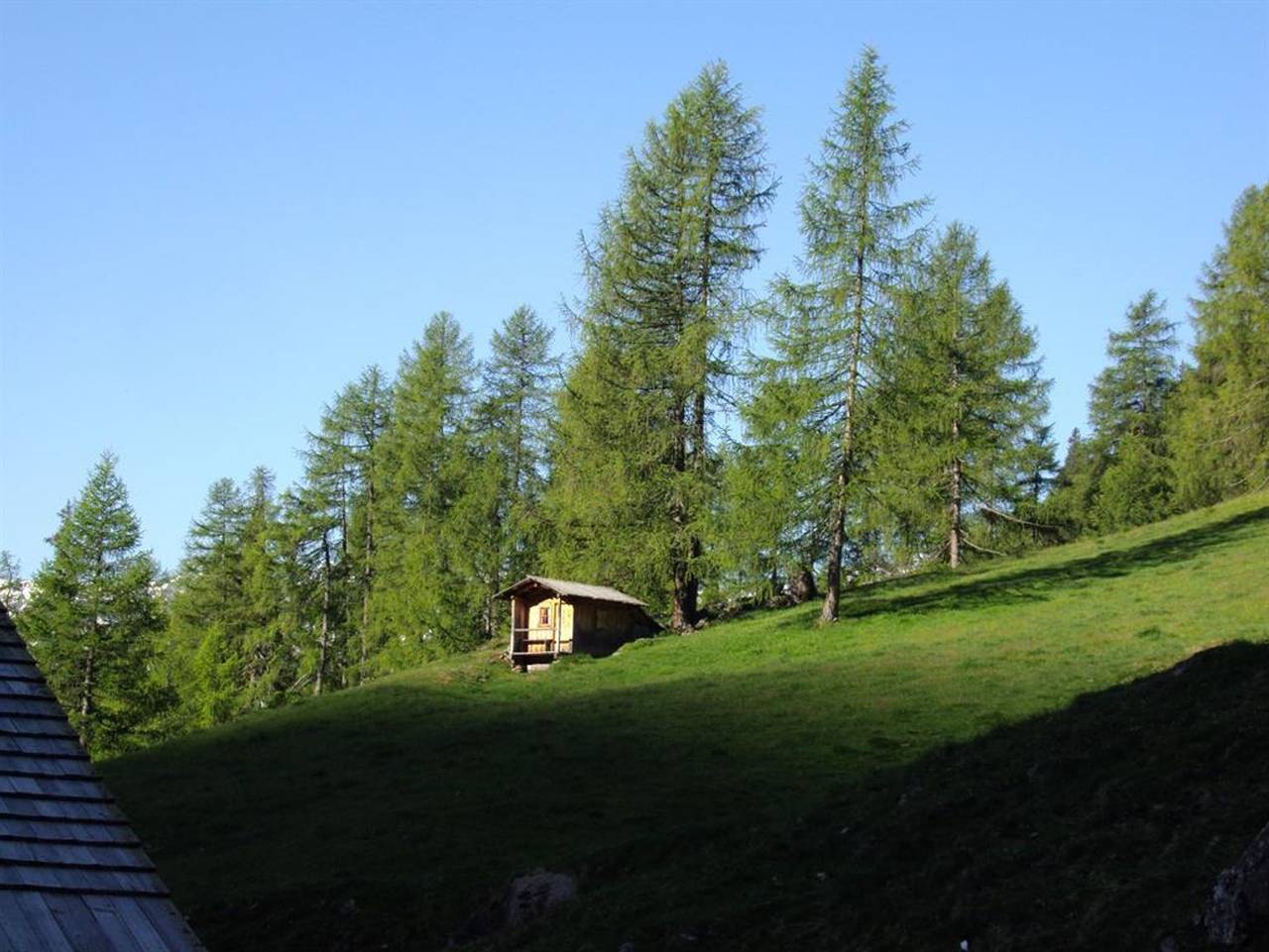 Almhütte Thalefeld - Lanser Erwin in Innervillgraten, Osttirol