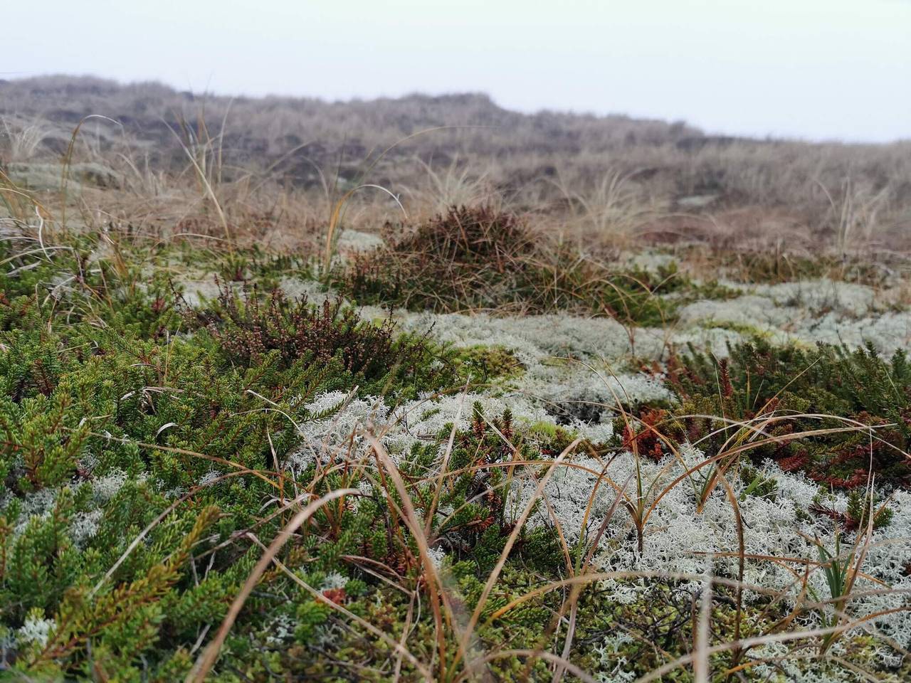 4 Personen Ferienhaus in Hemmet-By Traum in Bork Havn, Ringkøbing Fjord