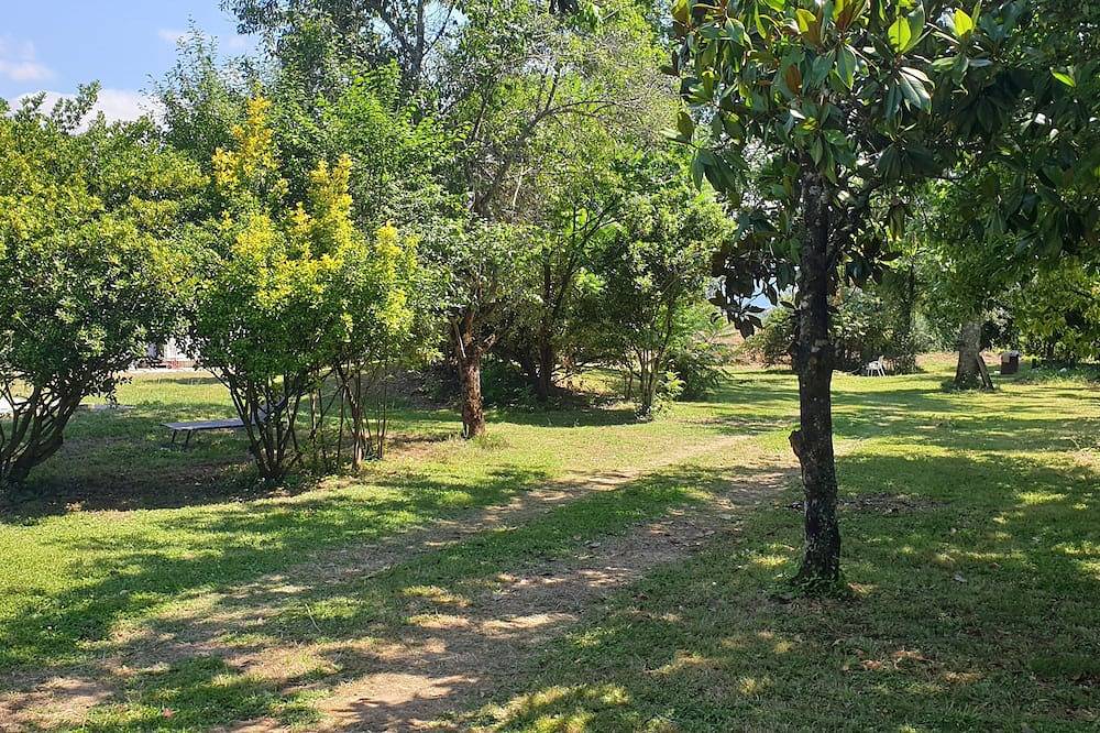 Rest and relaxation nestled in a green setting in Salies-du-Salat, Alto Garona