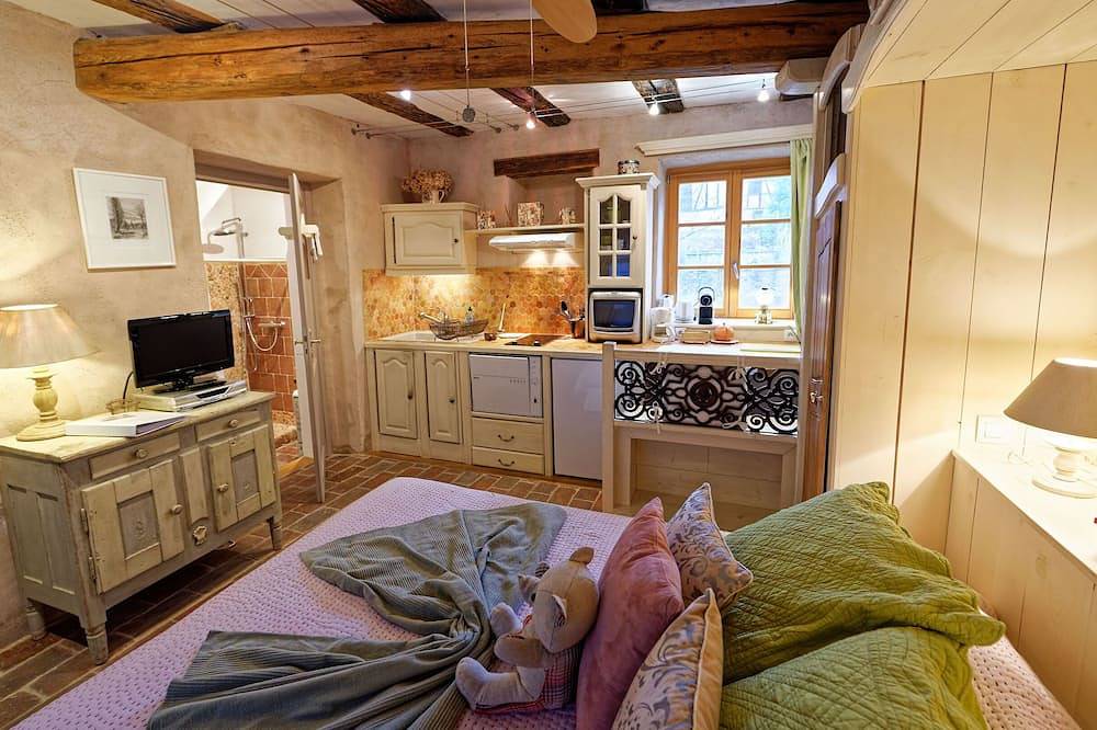 Ganze Wohnung, Zuflucht der Kobolden*** - Romantik Studio in Riquewihr, Regionaler Naturpark Belchen der Vogesen