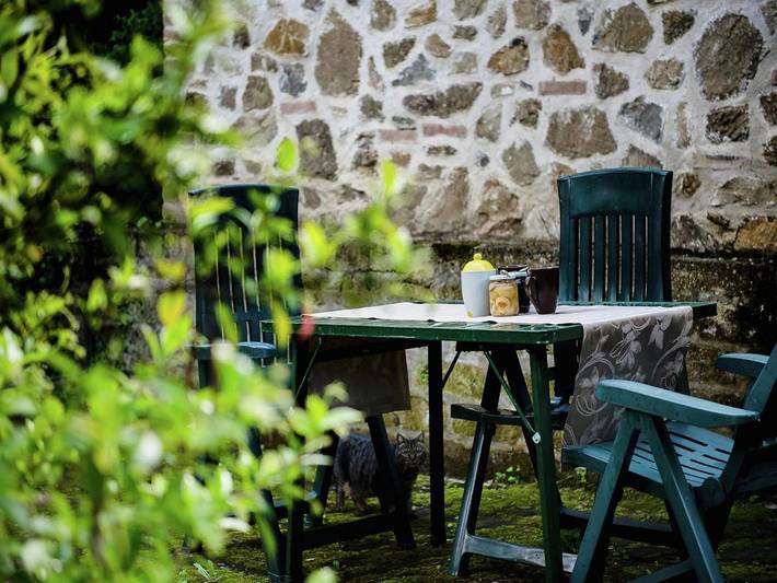 Ferienhaus für 5 Personen, mit Terrasse und Pool, mit Haustier - 1