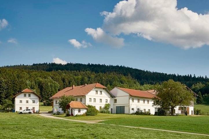Ferienwohnung für 5 Personen, mit Balkon und Balkon/Terrasse sowie Whirlpool und Terrasse in Waldkirchen