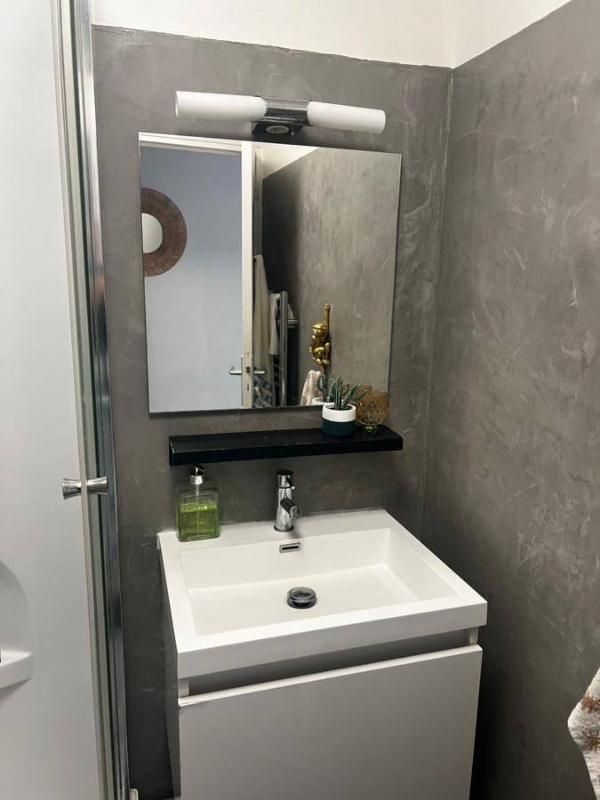 Gîte pour 4 personnes, avec vue, animaux acceptés dans Château de Saumur - 3